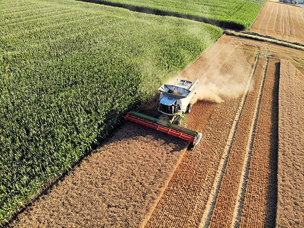 seguro safra agro